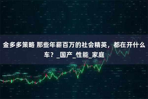 金多多策略 那些年薪百万的社会精英，都在开什么车？_国产_性能_家庭